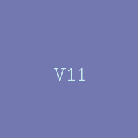V11