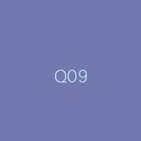 Q09